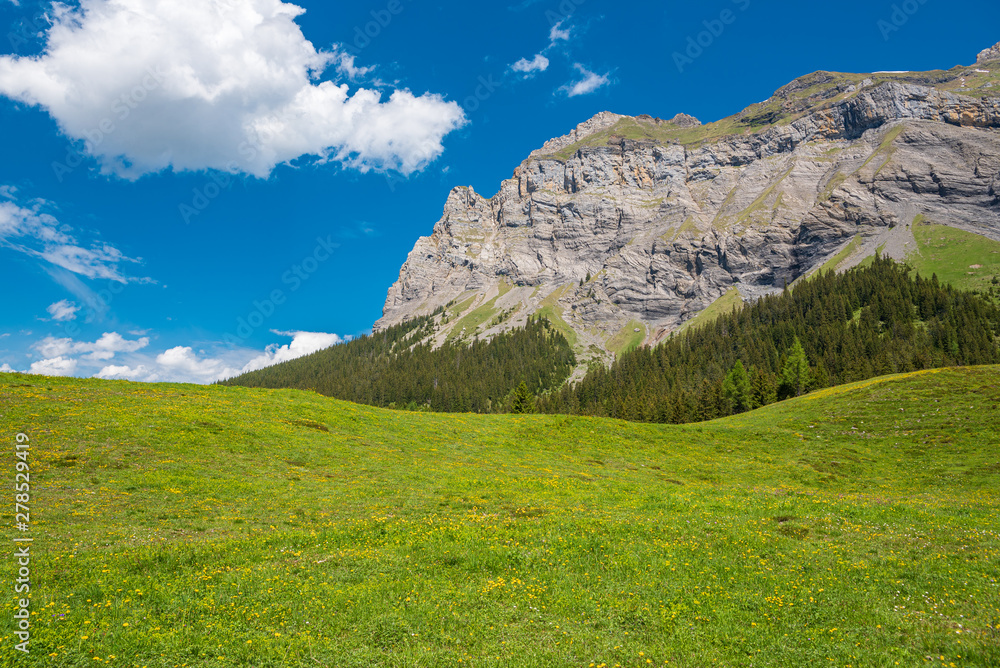 Obraz premium Scenic view between Oeschinen mountain station and Oeschinensee lake close to Kandersteg