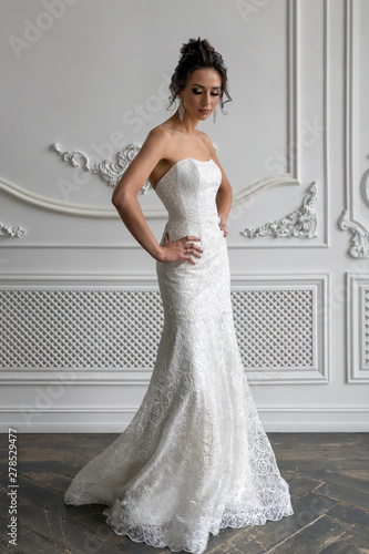 Bride pose for classic white interior. Wedding Dress Silhouette Embroidery Patterns