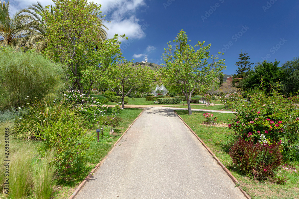 Public park, spring day, Rose Garden, Parc Cervantes in Les Corts quarter of Barcelona, Catalonia, Spain.