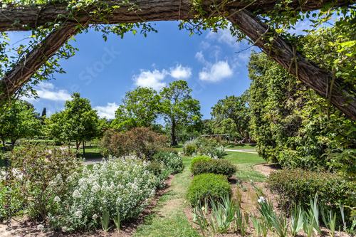 Photography Public park, spring day, Rose Garden, Parc Cervantes in Les Corts quarter of Barcelona, Catalonia, Spain