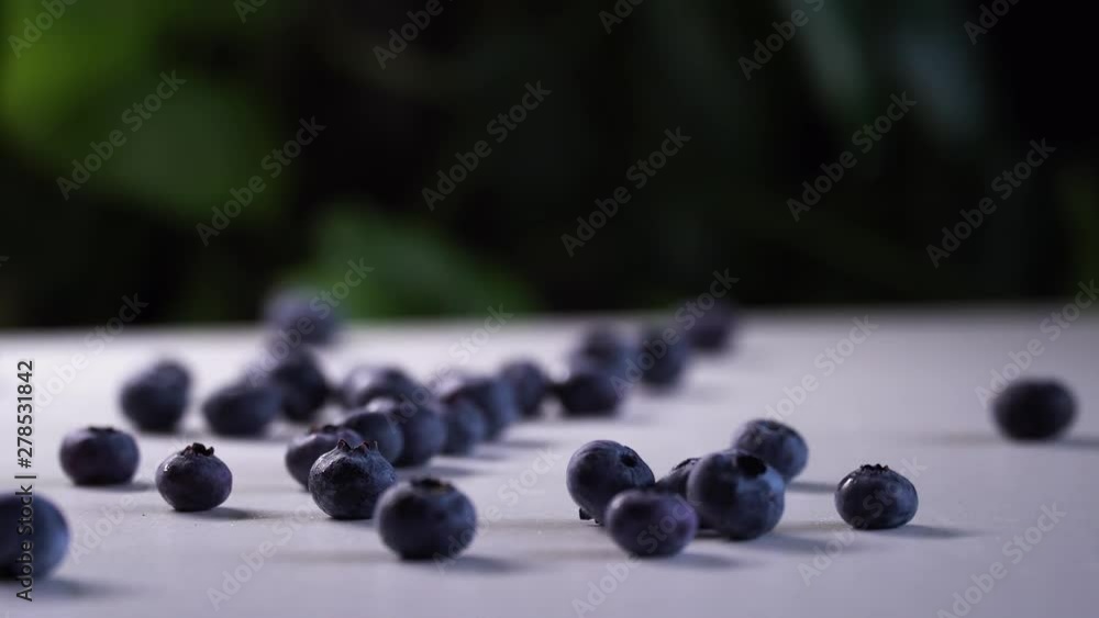 blueberry falls on a white table and crumbles on it blueberry falls on a white table and crumbles on it