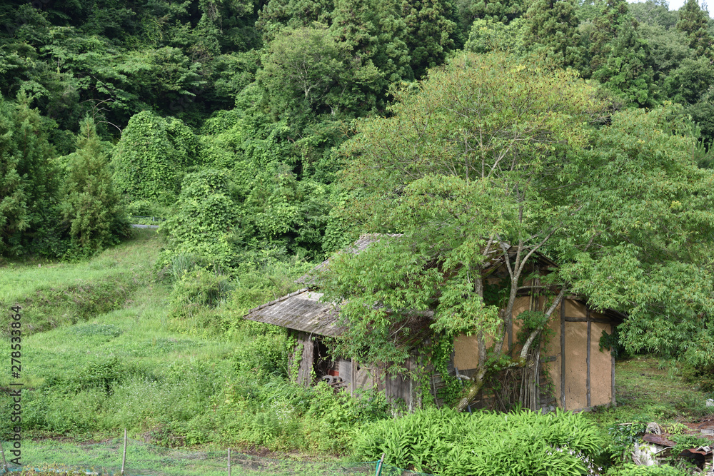 日本の山奥で見つけた古くて美しい建物 日本の山奥で見つけた古くて美しい建物