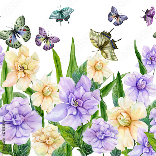 Beautiful gardenia flowers and colorful butterflies on white background. Seam...