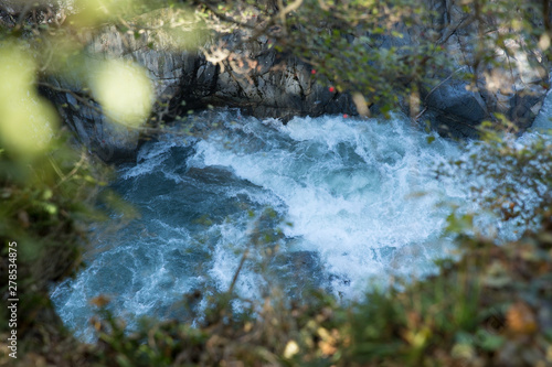 stream in the forest