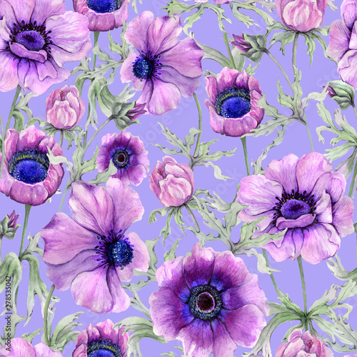 Beautiful anemone flower with green leaves on white background.  Seamless flo...