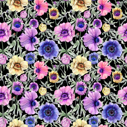 Beautiful colorful anemone flower with green leaves on black background.  Sea...