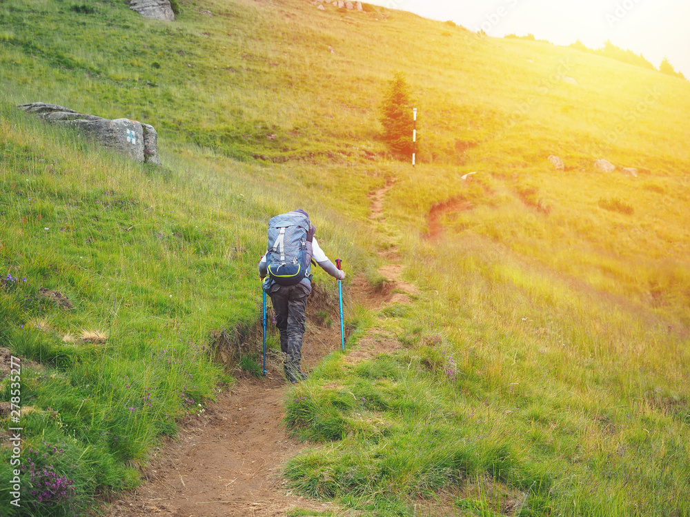 Little boy with backpack hiking in scenic mountains