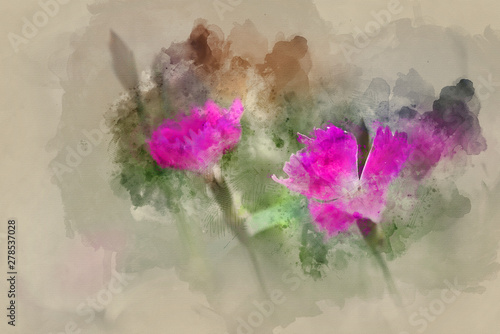Fototapeta Naklejka Na Ścianę i Meble -  Digital watercolour painting of Close up of vibrant pink kaori border plant