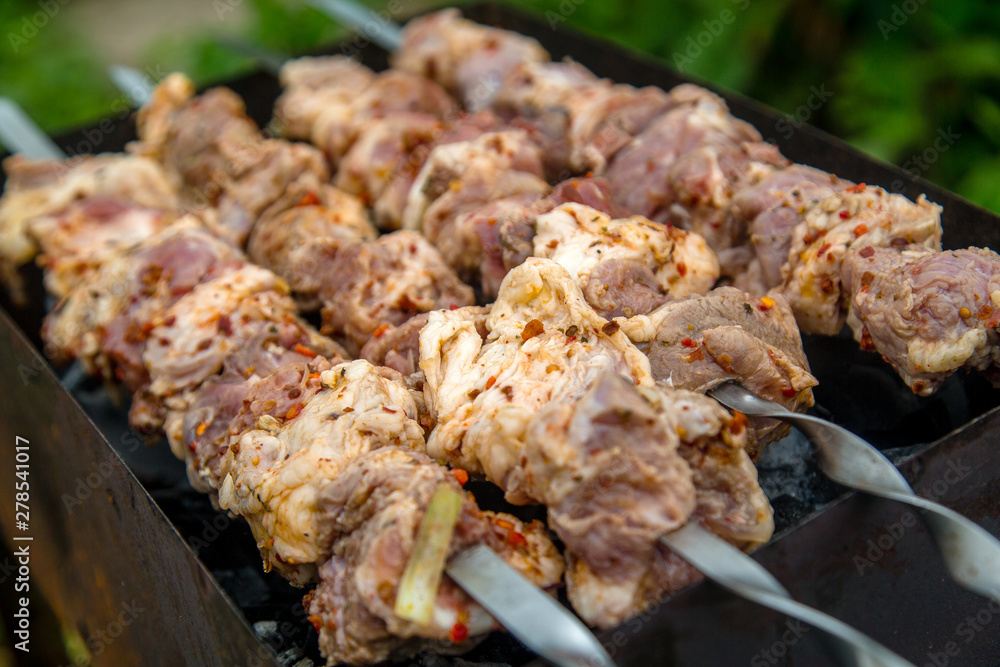 cook shashlik on the grill with coal in the street