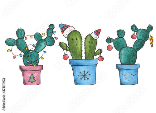 winter cactuses