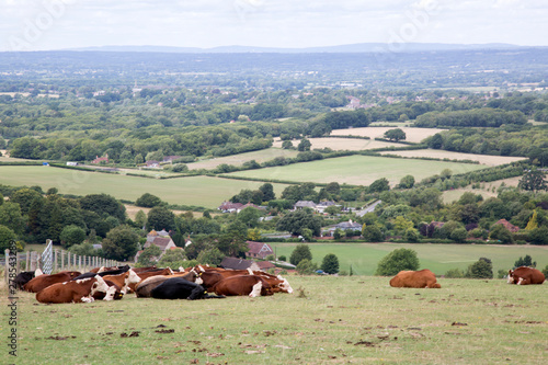 View from Ditchling Beacon, East Sussex, England