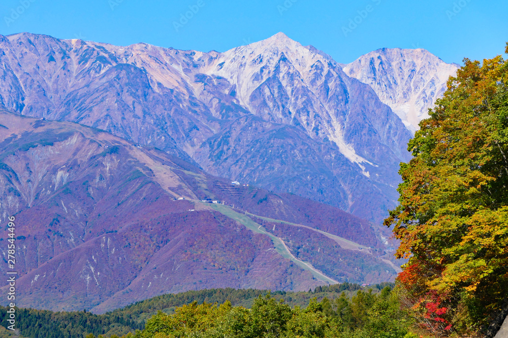 中部山岳国立公園。鬼無里地区より北アルプス・白馬三山を望む。長野　日本。１０月下旬。