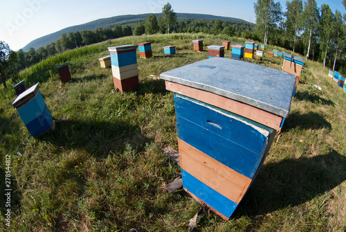 Mountain apiary. Beekeepers at work. photo