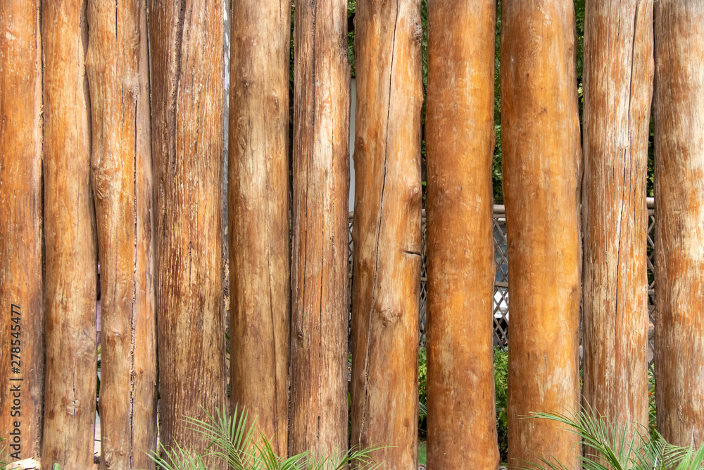 Foto Background of Tree Trunk, used for barrier, Texture or backdrop