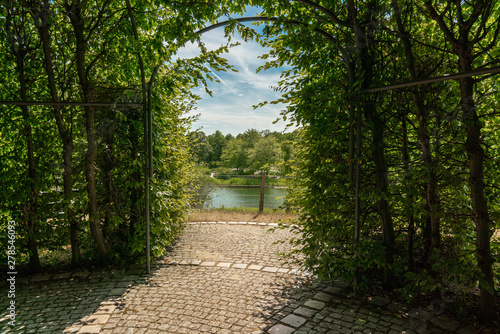 Fototapeta arbour of beech branches and leaves with view onto a lake