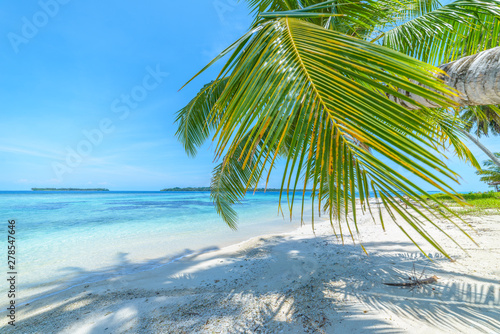White sand beach with coconut palm trees turquoise blue water coral reef  tropical travel destination  desert beach no people - Banyak Islands  Sumatra  Indonesia