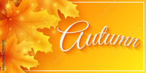 Autumn web banner with maple leaves. Seasonal background for your design. Beautiful text. Flying glowing particles. Vector illustration