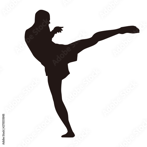 Martial Arts Fighter Silhouettes