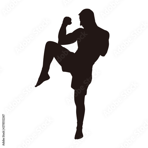 Martial Arts Fighter Silhouettes