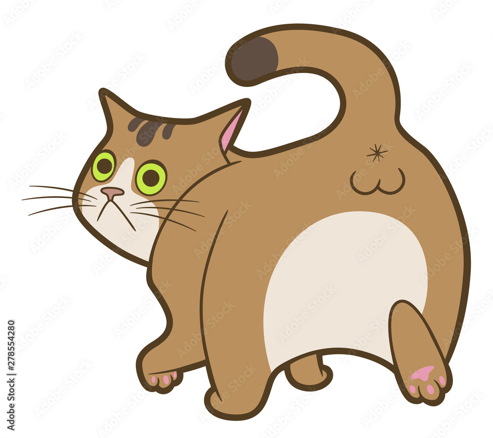 Cartoon cat turn back Stock Vector | Adobe Stock