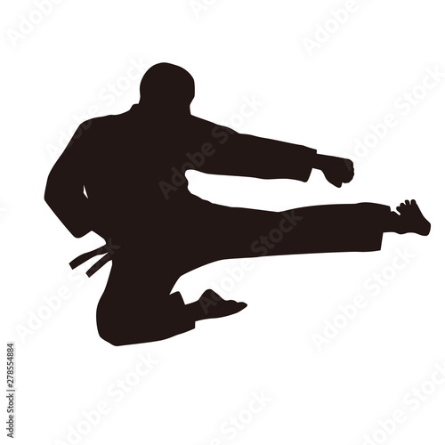 Martial Arts Fighter Silhouettes