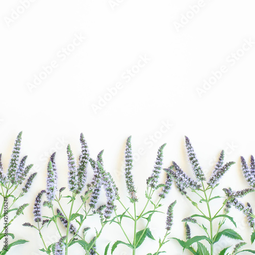 Wallpaper Mural Yellow background with blooming mint branches. Torontodigital.ca