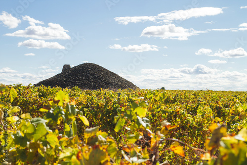 Vineyard with bombo traditional building in La Mancha plain photo