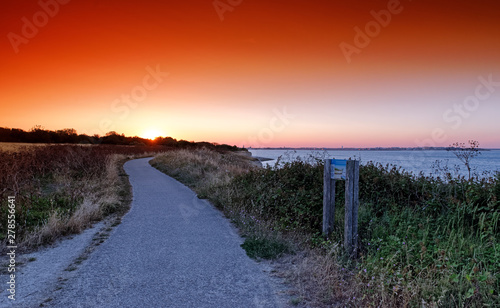 Foto Coastal path in the nature reserve of La rochelle coast