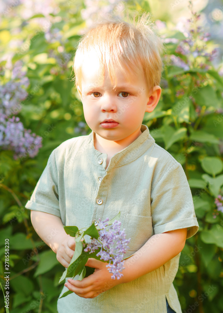 portrait of little BOY outdoors in summer portrait of little BOY outdoors in summer