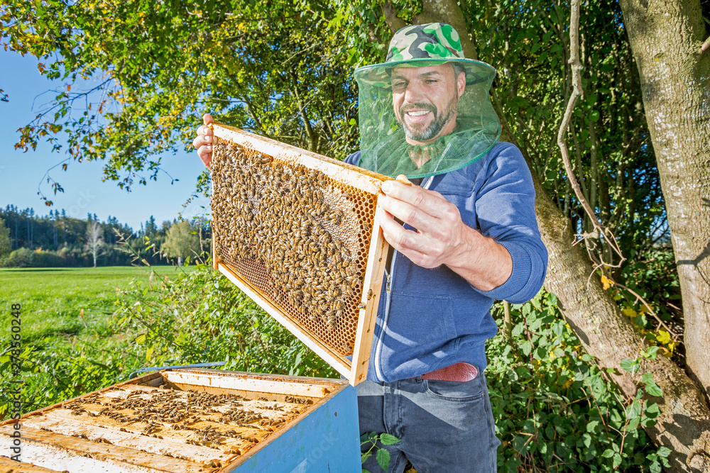 Portrait of male beekeper with hive - obrazy, fototapety, plakaty 