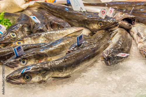 Fresh seafood on the market in Barcelona