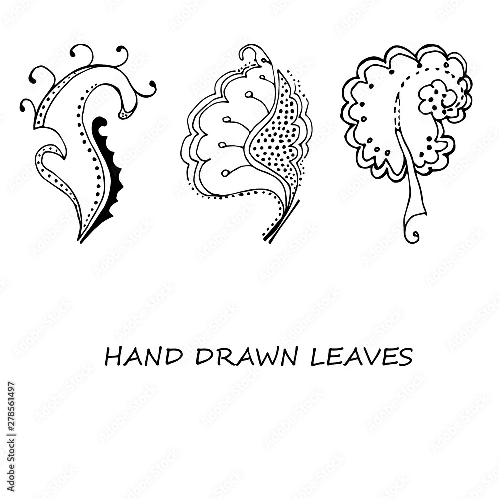 Obraz premium Hand-drawn leaves doodles set. Black silhouettes on white background.Isolated.