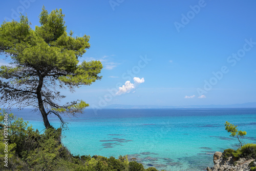 Beautiful azure water and pine tree of Orange beach on the east coast of Sithonia peninsula, Halkidiki, Greece