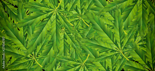 Marijuana leaf illustrations on cannabis Dark background, beautiful background, top corner picture