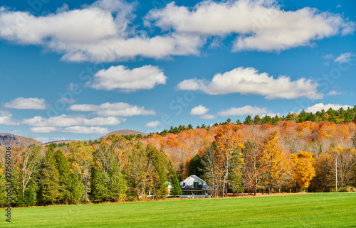 Autumn landscape with house in forest in Vermont, USA.