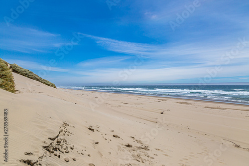 A sandy beach on the Oregon coast, on a sunny summers day