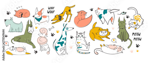 Different pets in various poses. Hand drawn big vector set of various dogs and cats. Colored trendy illustration. Flat design. All elements are isolated