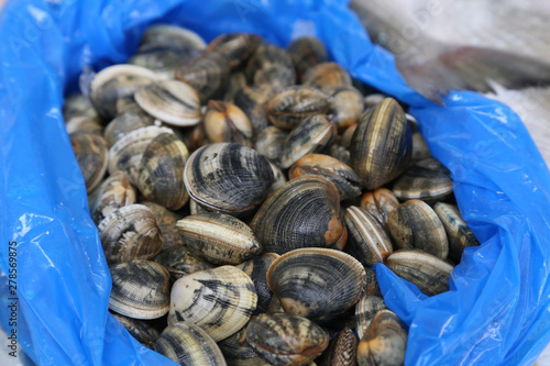 Shells of different colors for sale in the market photo