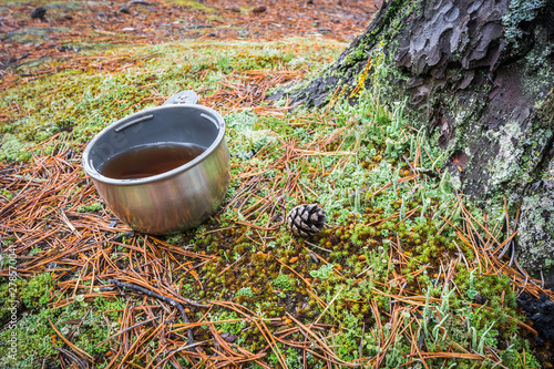 Mug of thermos with black tea on green moss with pine needles near tree in forest.