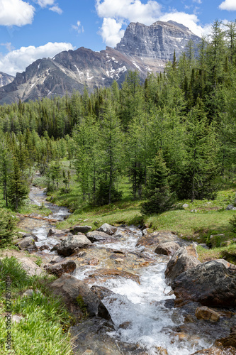 Running water of the Larch Valley Trail from Lake Moraine and the view of the Rocky Mountains in the background