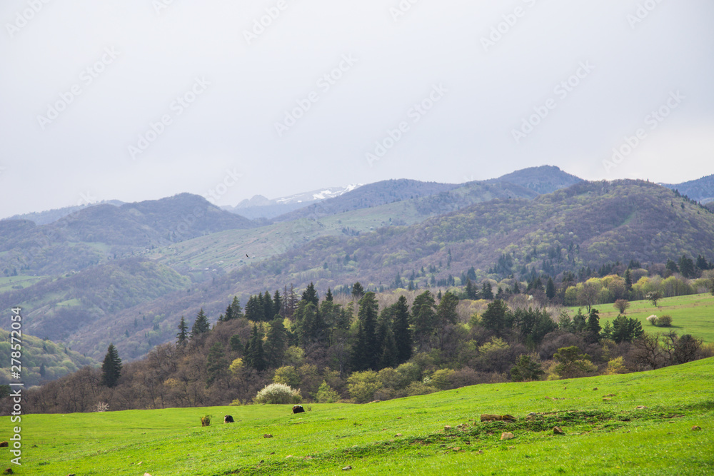 Amazing mountain landscape in Georgia on sunny summer day. Amazing mountain landscape in Georgia on sunny summer day.
