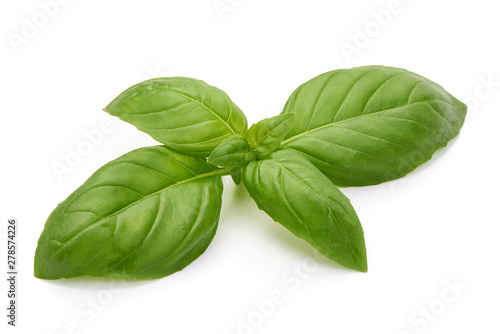 Fresh basil leaves, organic herbs, close-up, isolated on white background