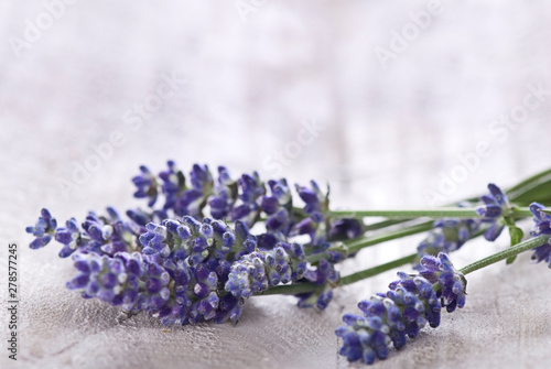 Purple Fragrant Lavender Blossoms On Wood