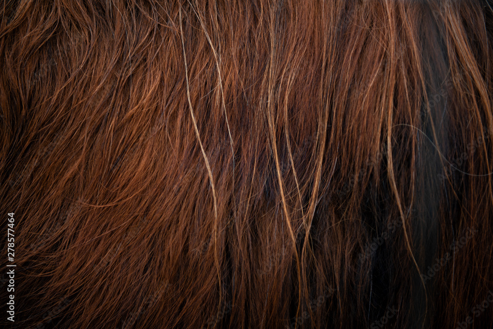 Naklejka premium Texture of red wool - close-up