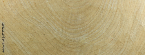 Fototapeta Naklejka Na Ścianę i Meble -  Annual ring tamarind wood