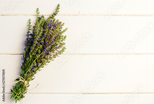 hyssop bunch with blue flowers on a white wooden background.	