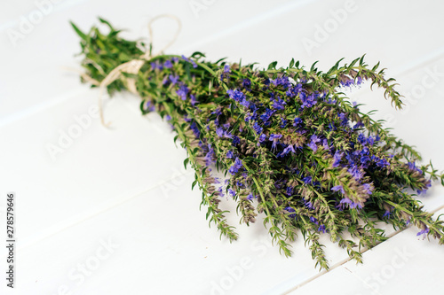  hyssop bunch with blue flowers on a white wooden background.