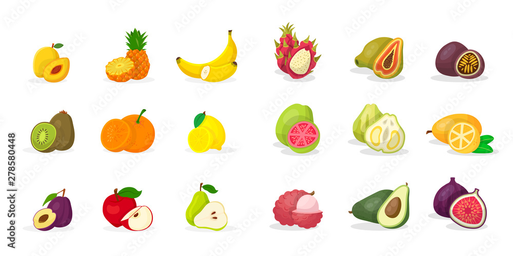 Tropical fruits vector illustrations big set Tropical fruits vector illustrations big set