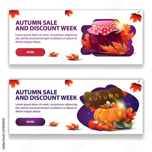 Autumn sale, two horizontal stylish light web banner