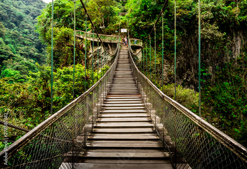 wood foodbridge in the Ecuadorian amazonic jungle